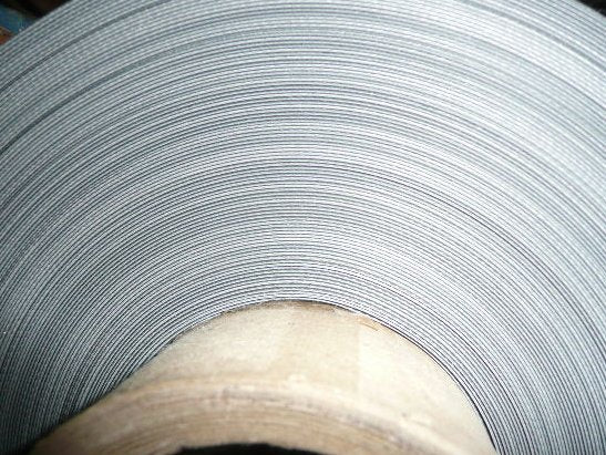 Geoduck Skirt Material